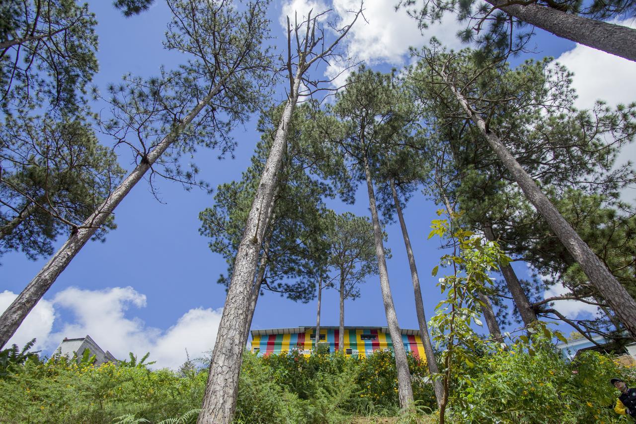 Icolor Dalat Hostel المظهر الخارجي الصورة